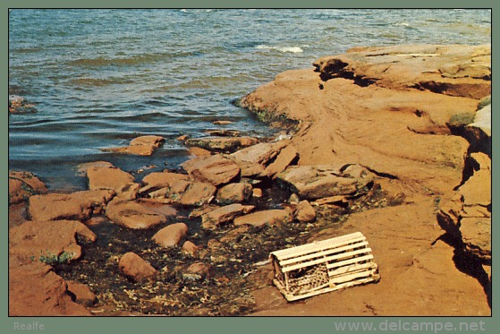 Vintage Lobster Trap , Prince Edward Island, Canada - Otros & Sin Clasificación