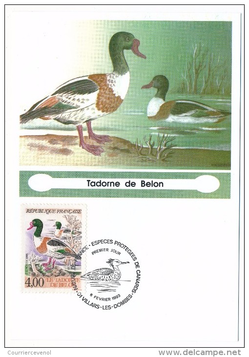 FRANCE - 4 Cartes Maximum - Nature De France - Espèces Protégées De Canards - 1993 - Entenvögel