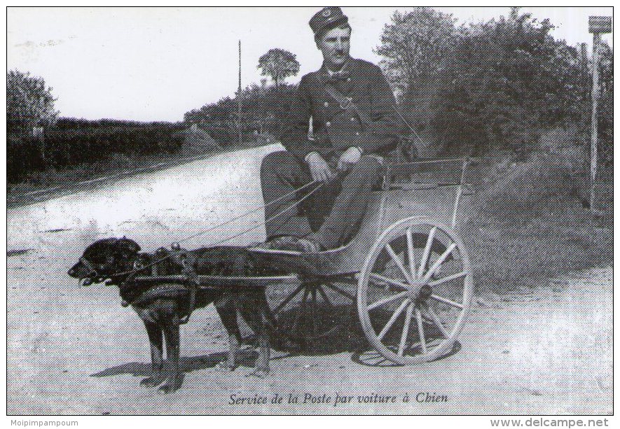 A04 / CP REPRO PHOTO FRANCE D´AUTREFOIS  FORMAT CPSM METIER SERVICE DE LA POSTE PAR VOITURE A CHIEN NEUVE VOIR DOS - Post & Briefboten