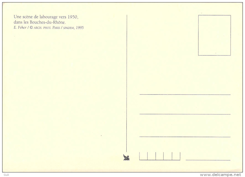 CPM   Lot De 2 Cartes Modernes REPRODUCTION (2) Une Scène De Labourage Vers 1950 Dans Les Bouches Du Rhône -scan R/V - Autres & Non Classés