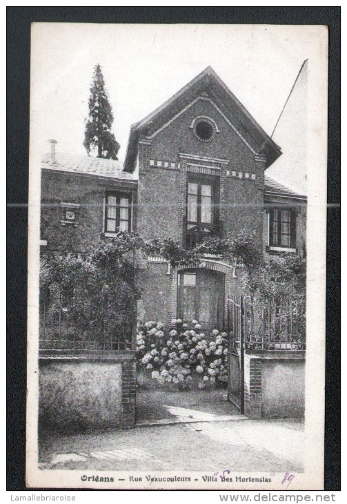 45, ORLEANS, RUE VEAUCOULEURS ( VAUCOULEURS ), VILLA LES HORTENSIAS,  2 SCANS - Orleans