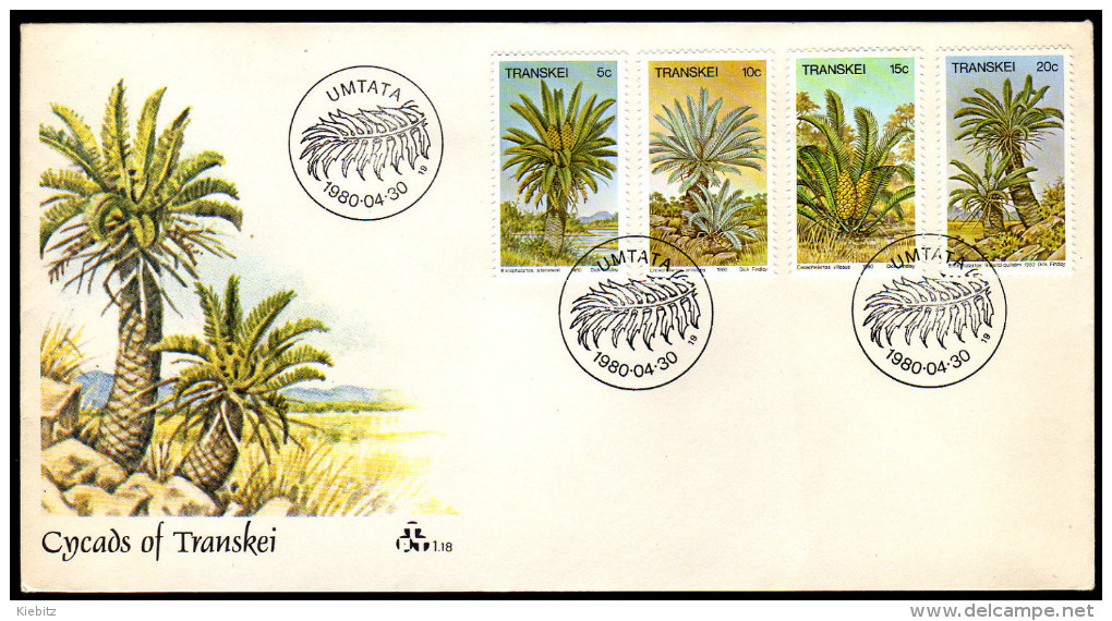 TRANSKEI 1980 - Palmfarne - FDC - Bäume