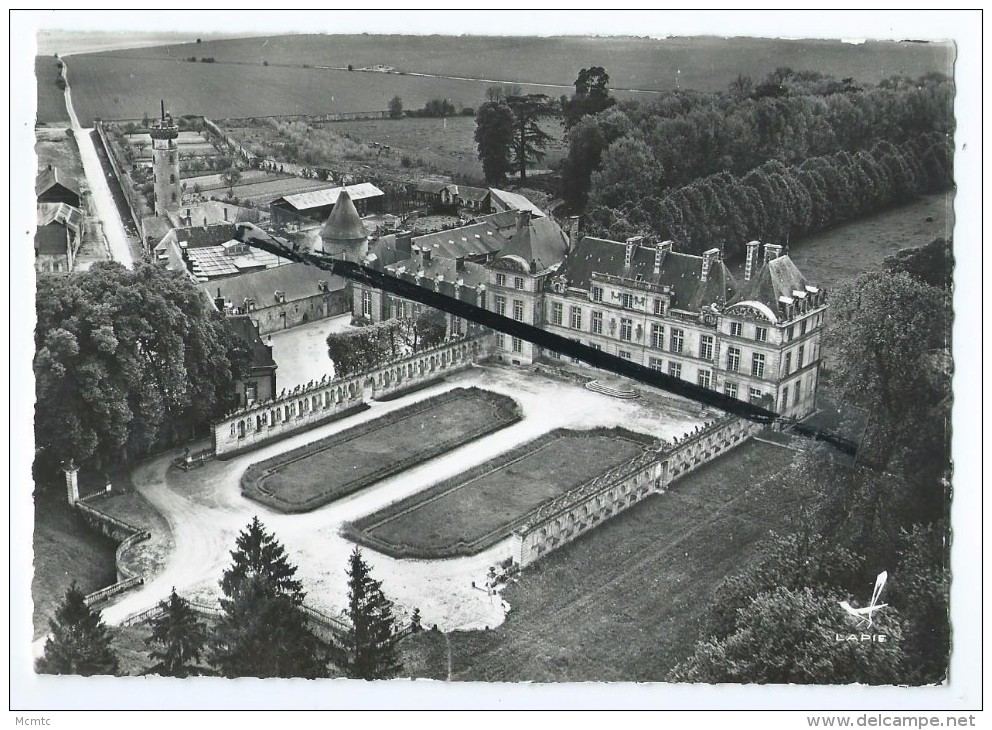 CPM - En Avion Au Dessus De....Raray - Le Château - Raray