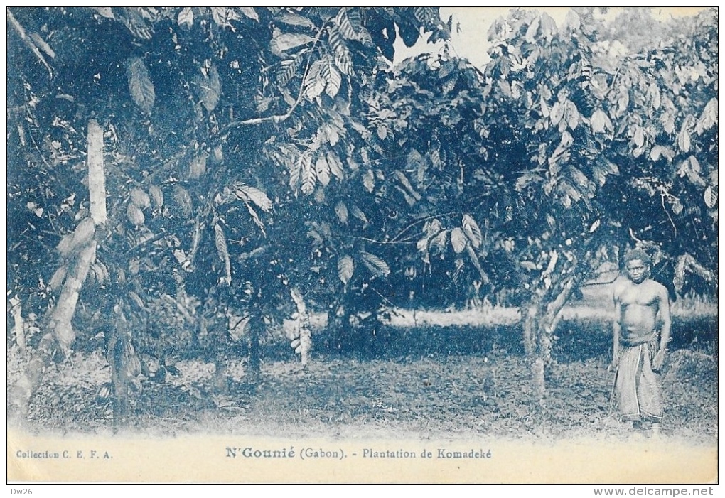 Gabon - N'Gounié - Plantation De Komadeké - Collection C.E.F.A. - Gabon