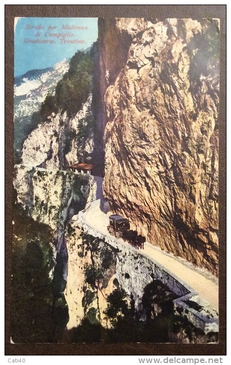 ANNULLO AUSTRIACO DI MALE' SU LEONI 10 C.- STRADA PER MADONNA DI CAMPIGLIO CON CORRIERA A CAVALLI - 1921 - Trento