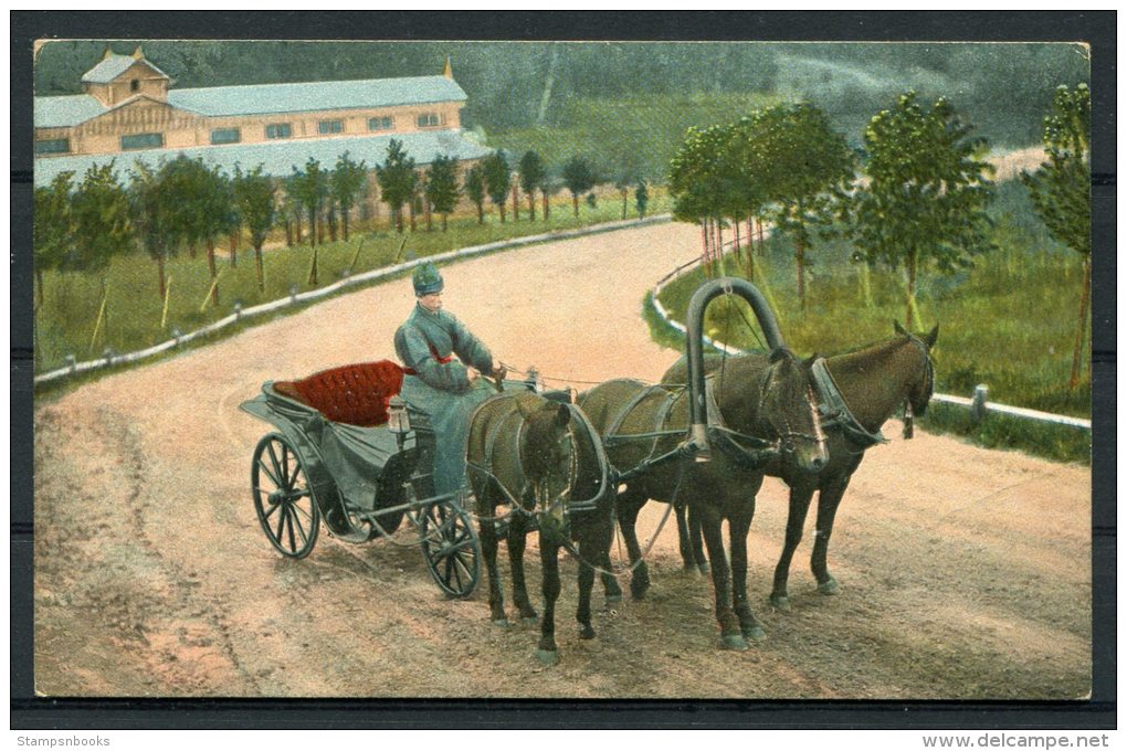 Russia Troika Horse Carriage E.G.S.i.S. Postcard - Russia