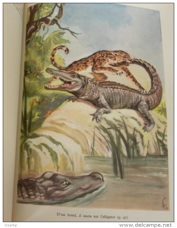 AU PERIL De La JUNGLE R. Ballantyne Collection Grand Large - Chauve Souris Crocodile Léopard - Casterman