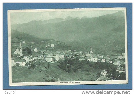 TESERO PANORAMA  ANNULLO AUSTRIACO DI   TESERO  SU LEONI 15 C. -- VIAGGIATA 1919 - Trento