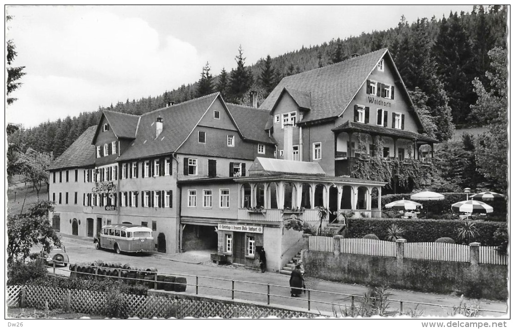 Altensteig - Gasthof Und Pension Waldhorn - Altbekanntes Haus Am Platze - Bus - Altensteig