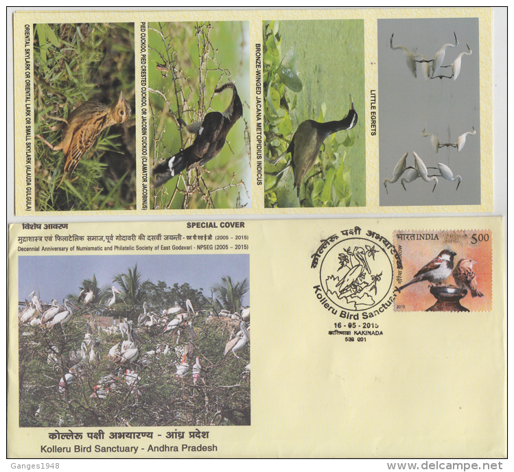 India  2015  Birds  Cranes  Kollaru Bird Sanctuary  KAKINADA  Cover #  65604  Inde - Cranes And Other Gruiformes