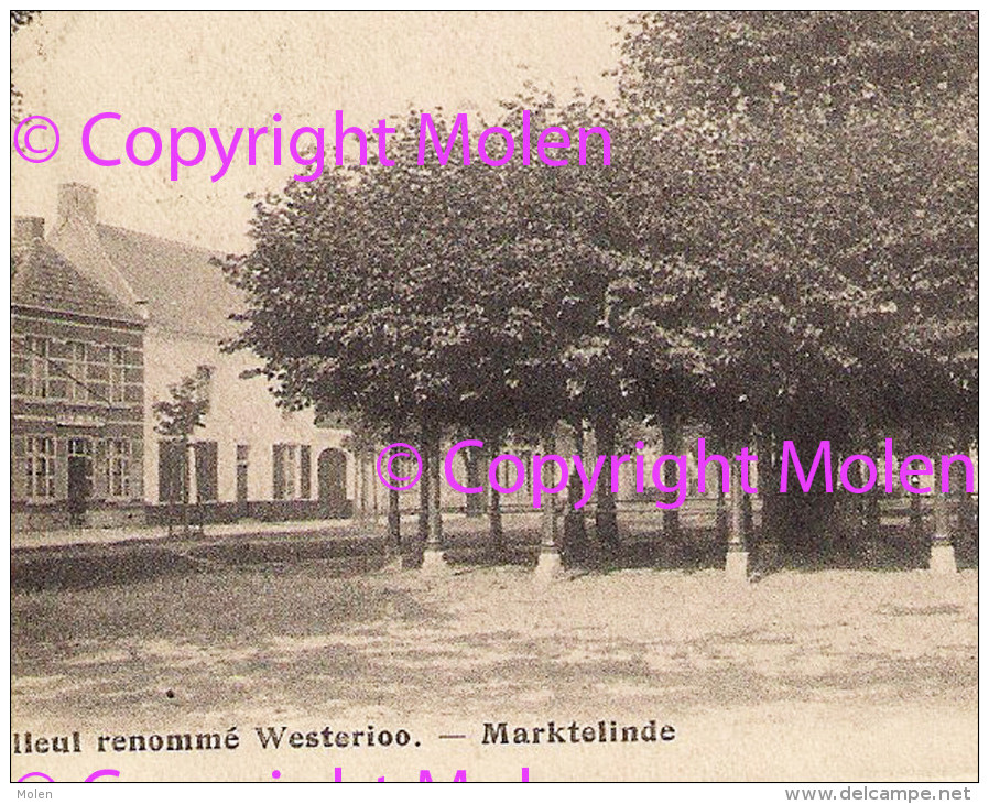 HEUL RENOMME à WESTERLOO = MARKTELINDE Te WESTERLO * Verzonden In 1900 => Edegem * Kleine Animatie 4210 - Westerlo
