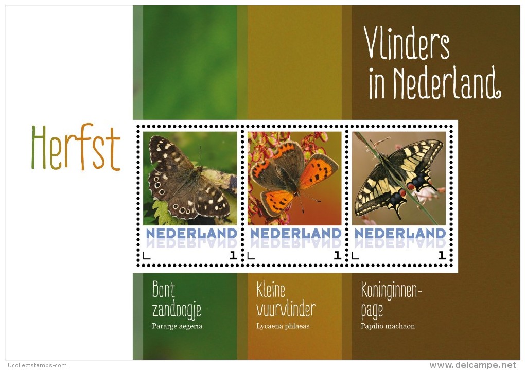 Nederland  2015  Vlinders 1  Butterfly  Schmetterlingen   Sheetlet//bogen    Postfris/mnh/neuf - Unused Stamps