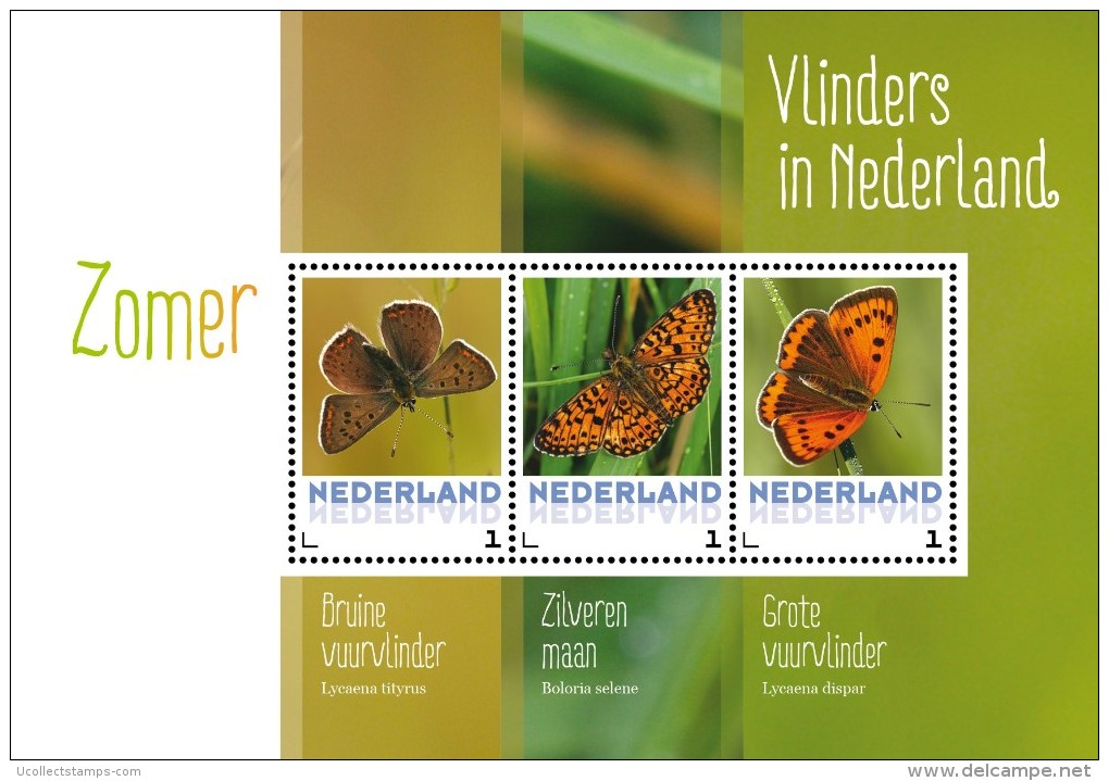 Nederland  2015  Vlinders 2  Butterfly  Schmetterlingen   Sheetlet//bogen    Postfris/mnh/neuf - Neufs