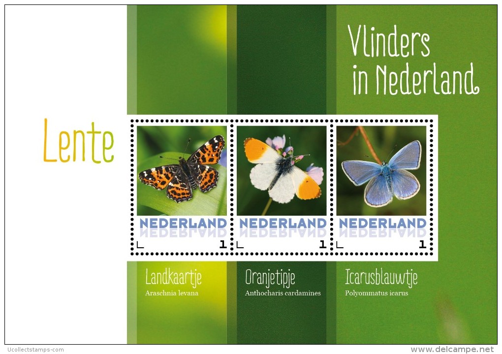 Nederland  2015  Vlinders 3  Butterfly  Schmetterlingen   Sheetlet//bogen    Postfris/mnh/neuf - Unused Stamps