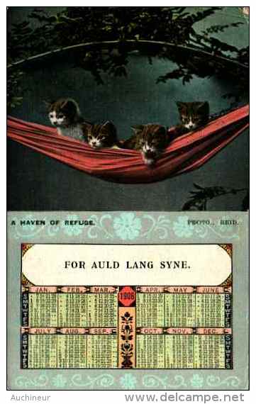 Année Date Millesime - 1906 - Calendrier, Chatons Dans Un Hamac - Nouvel An