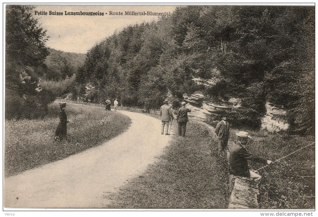 Carte Postale Ancienne De MUELLERTAL - Muellerthal