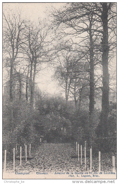 Champion Couvent Avenue De La Grotte De N.D. De Lourdes (pk18949) - Namur