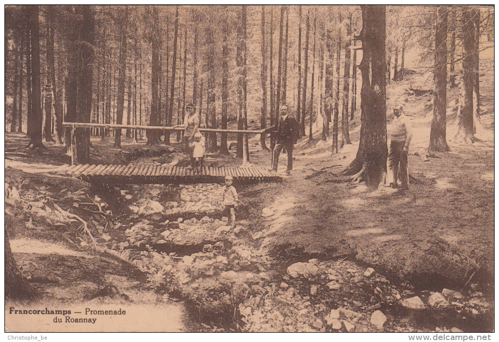 Francorchamps, Promenade De Roannay (pk18950) - Spa