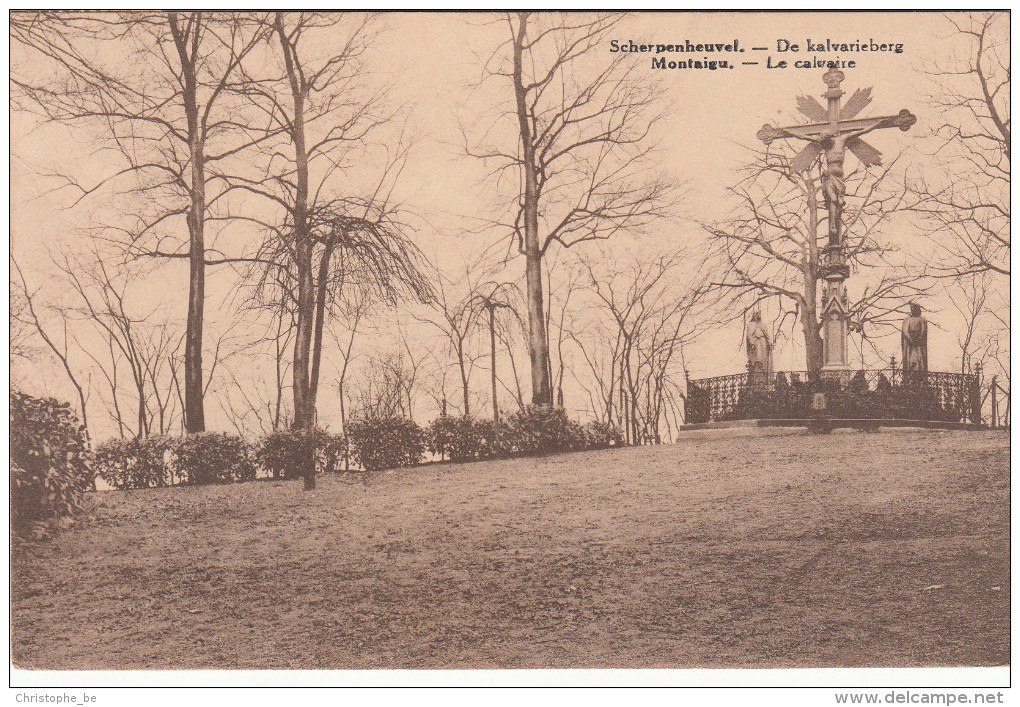 Scherpenheuvel, De Kalvarieberg (pk18955) - Scherpenheuvel-Zichem