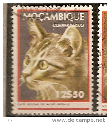 Mozambique (D33) - Mozambico