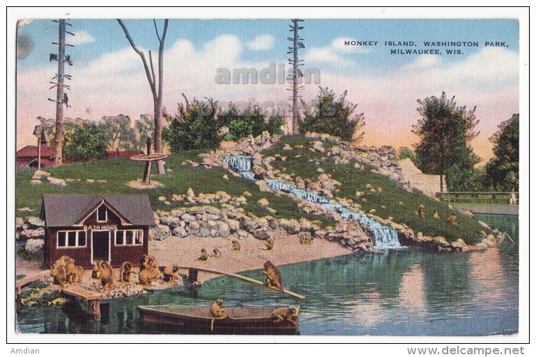 Milwaukee WI, Monkey Island, Washington Park, Wisconsin Zoo Scene C1940s Postcard [8383] - Milwaukee