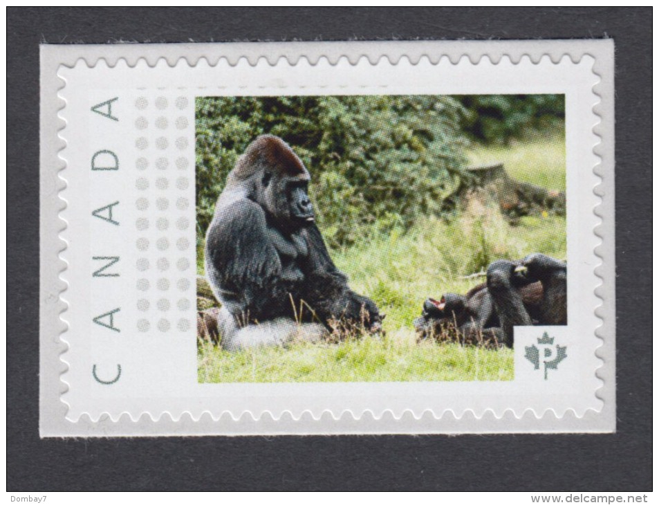 GORILLA, GORILLE, GORILA, Picture Postage Mint, Unused Stamp, Canada  2014 [p74wa7/5] - Gorillas