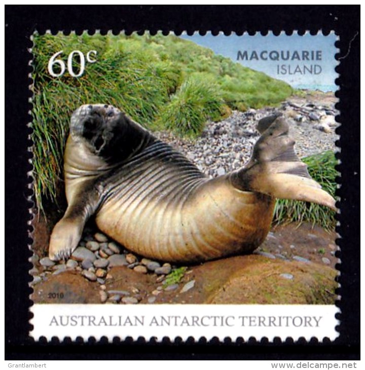 Australian Antarctic 2010 Macquarie Island 60c Seal Used - - Used Stamps