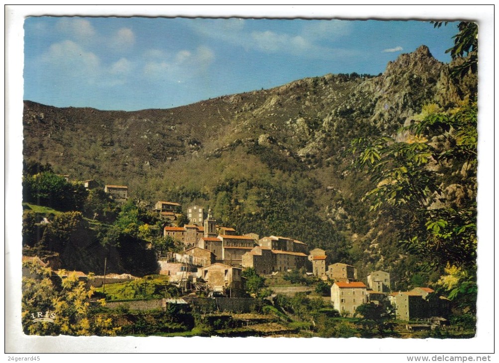 CPSM ORTO (Corse Du Sud) - 650 M Vue Générale Et Le Mont Sant Eliseo 1507 M - Autres & Non Classés