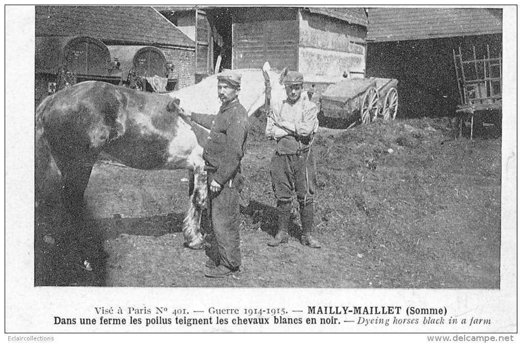 Mailly-Maillet     80         Guerre 14/18.  Les Poilus Teignent Les Chevaux En Noir Et Blanc - Other & Unclassified