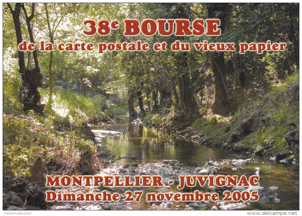 MONTPELLIER 38EME BOURSE CARTE POSTALE ET VIEUX PAPIER 2005  N° 132 (dil272) - Montpellier