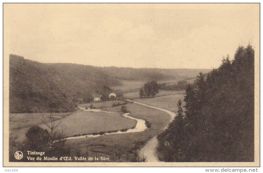 Tintange  " Vue Du Moulin D'Oeil , Vallée De La Sûre " - Fauvillers