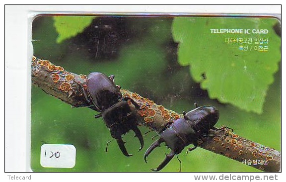 Télécarte  PUCE CORÉE * TELEFONKARTE KOREA (120) INSECTE * Scarabée * BEETLE INSECT Phonecard * KEVER * - Sonstige & Ohne Zuordnung