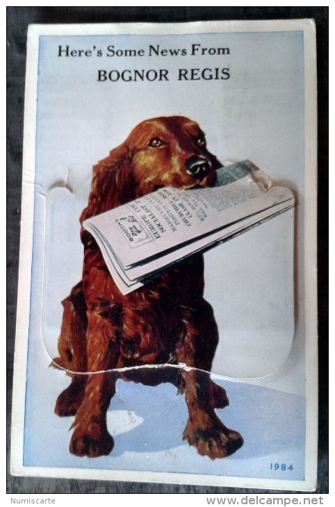 Carte Système BOGNOR REGIS - Here's Some News From... Dog And Newspaper, Chien Et Journal, 12 Mini Vues - Bognor Regis