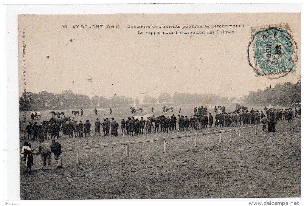 Mortagne - Concours De Juments Poulinières Percheronnes - Mortagne Au Perche