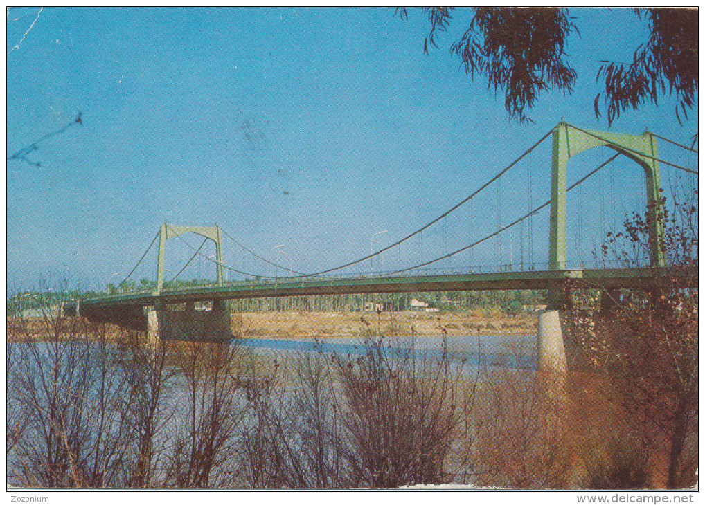 1977 Baghdad, SUSPENSION BRIDGE, IEAQ - Old Postcard - Irak