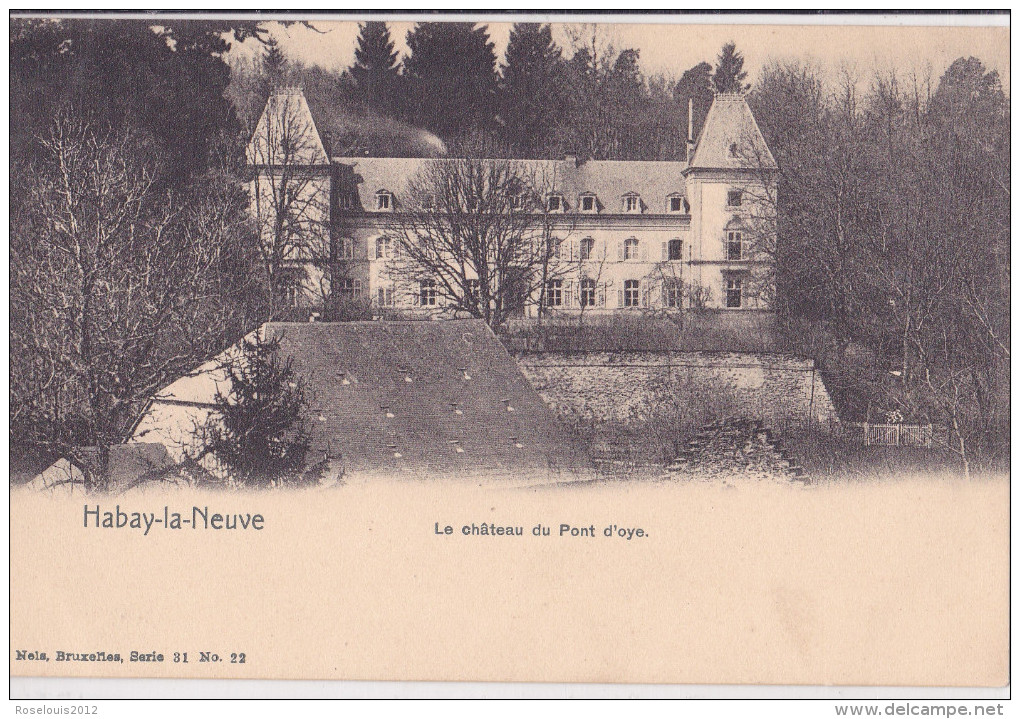 HABAY-LA-NEUVE : Le Château Du Pont D'Oye - Habay