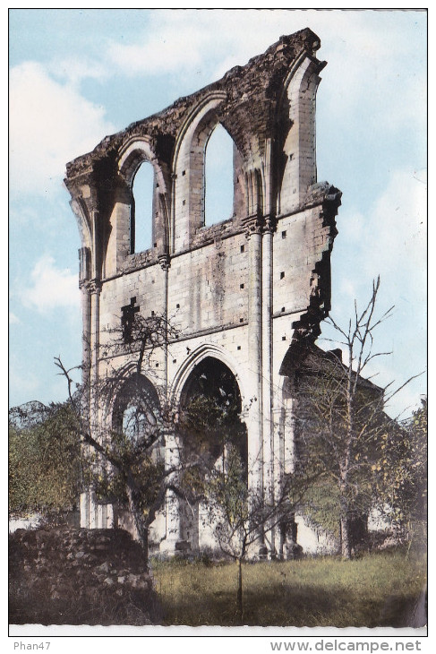 SAINT MAURICE SUR AVEYRON (45-Loiret), Fontaine St Jean, Ruines De L'Abbaye De Courtenay, Ed. SPADEM Vers 1960 - Other & Unclassified