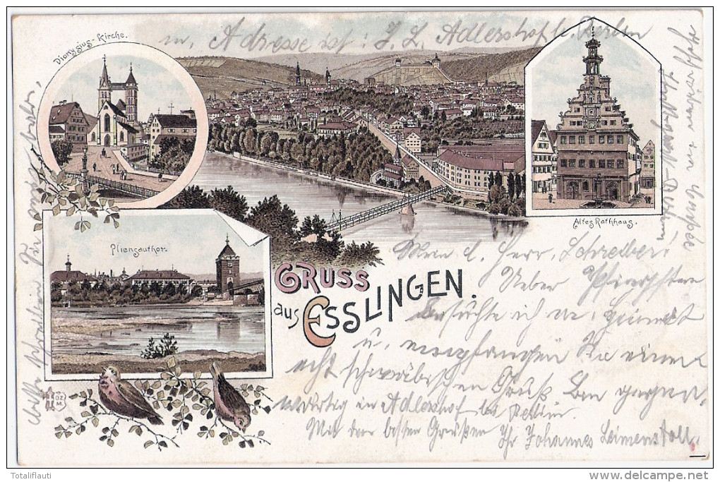 Gruss Aus ESSLINGEN Color Litho Vorläufer Rathhaus Pliensauthor Dionysios 5.6.1895 Gelaufen - Esslingen