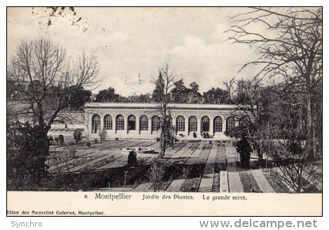 Jardin Des Plantes , La Grande Serre  Tampon De L'université - Montpellier