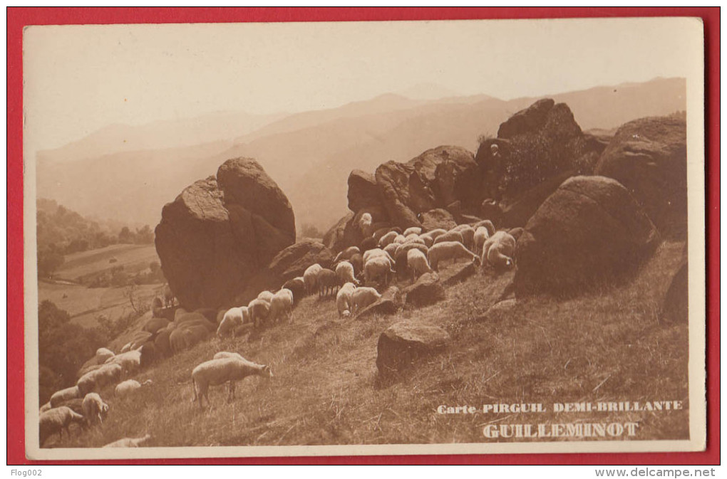 Carte Photo De Moutons  Publicité Guilleminot Pirguil - Pubblicitari