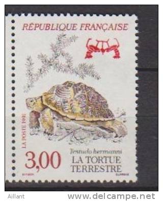 France. Tortue D´ Hermann ** - Schildkröten