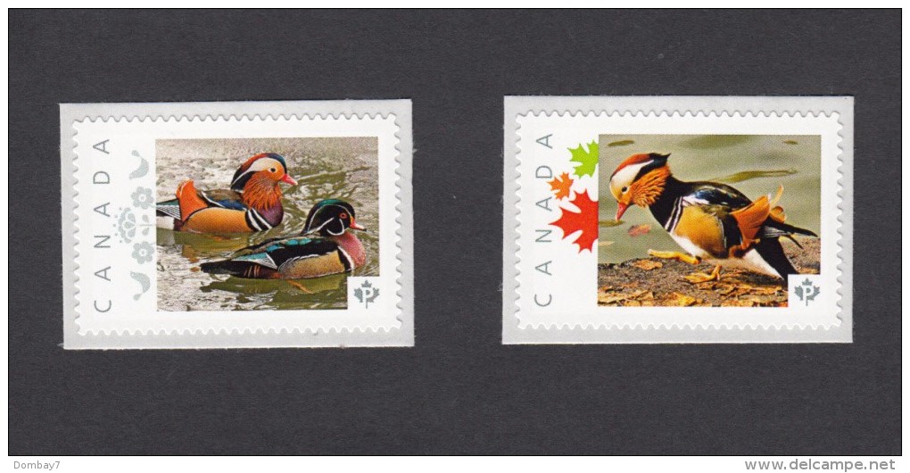 MANDARIN DUCKS,  Canard, PATO, Anatra,  ENTE, Set Of 2 Picture Postage Mint, Unused Stamps, Canada  2014 [p7du2] - Ducks