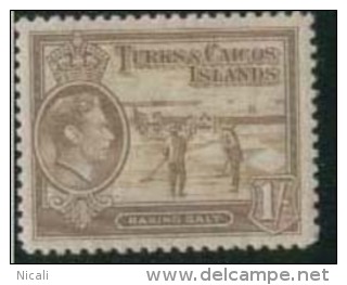 TURKS & CAICOS IS 1938 1s Bstre KGVI SG202 HM EZ266 - Turks & Caicos (I. Turques Et Caïques)