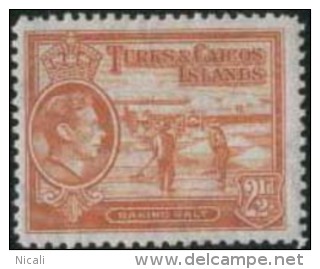 TURKS & CAICOS IS 1938 2 1/2d KGVI SG199a HM EZ264 - Turks & Caicos (I. Turques Et Caïques)