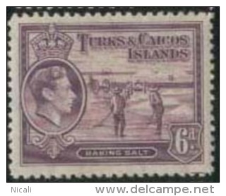 TURKS & CAICOS IS 1938 6d Mauve KGVI SG 201 HM EZ265 - Turks And Caicos