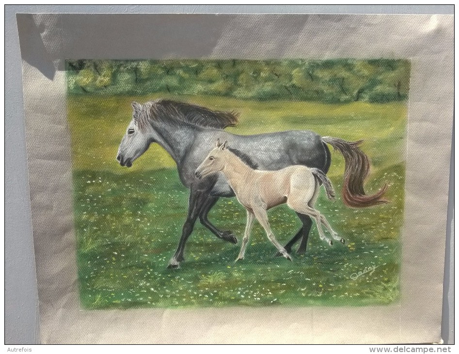 PASTEL  -  CHEVAL  -  SIGNE DANNY - Pasteles