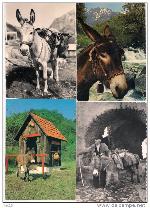 L100B_Anes Lot 02 - 35 Cartes Postales Différentes Toutes Scanées - Donkeys