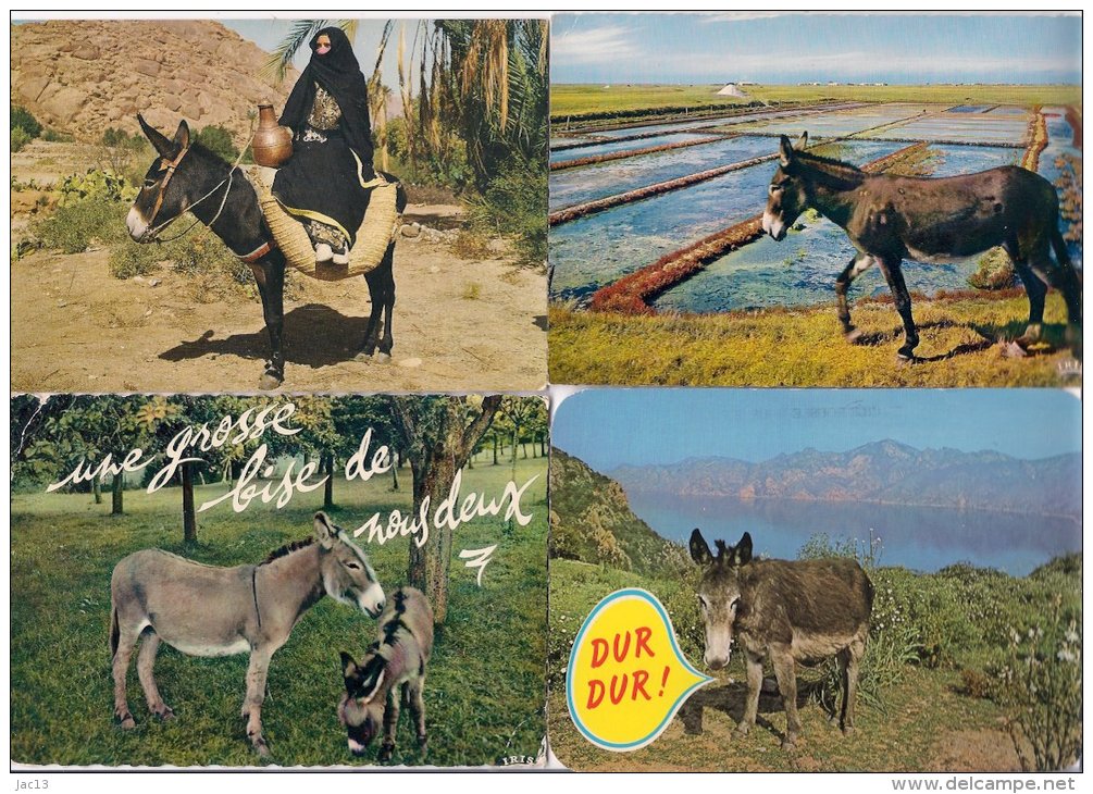 L100B_Anes Lot 02 - 35 Cartes Postales Différentes Toutes Scanées - Anes