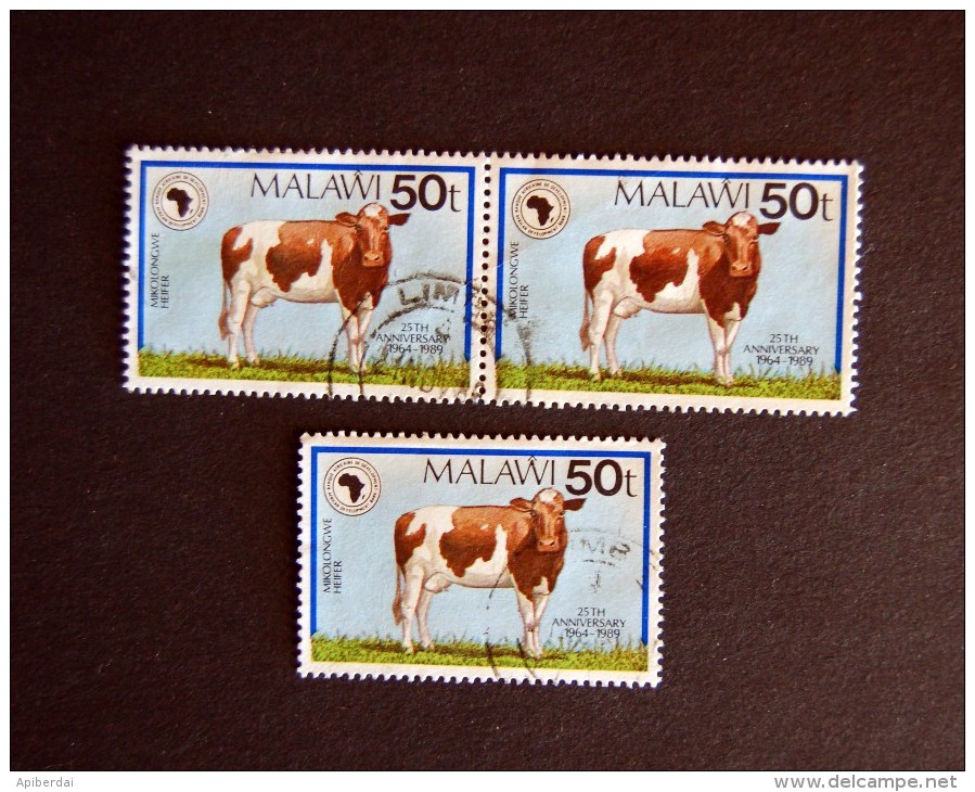 Malawi -  1989 50T Vache * 3 - Vacas