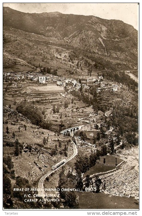 POSTAL DE RIBAS DE FRESER DE F.C. CREMALLERA Y CARALP AL FONDO (ZERKOWITZ) TREN-TRAIN-ZUG - Gerona